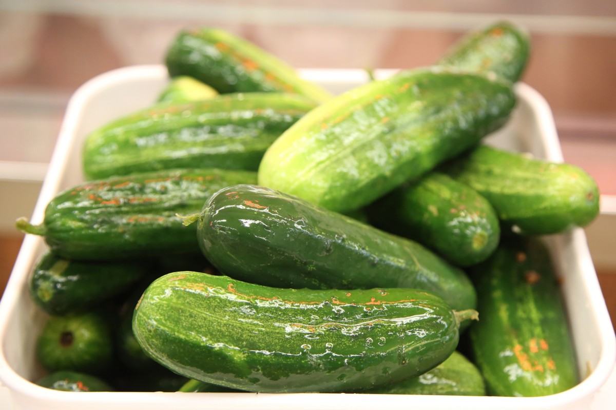 Can We Guess Your Age Based on Your Polarizing Food Choices? pickles