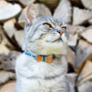 What 1980s Stereotype Are You? Quiz Cat