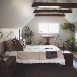 Build Your Home & We'll Give You A Puppy To Live With Quiz 