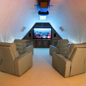 Build Your Home & We'll Give You A Puppy To Live With Quiz Home theatre