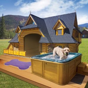 Build Your Home & We'll Give You A Puppy To Live With Quiz 