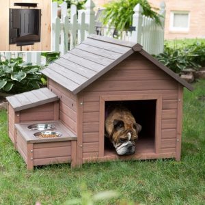 Build Your Home & We'll Give You A Puppy To Live With Quiz 