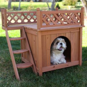 Build Your Home & We'll Give You A Puppy To Live With Quiz 