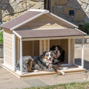 Build Your Home & We'll Give You A Puppy To Live With Quiz 