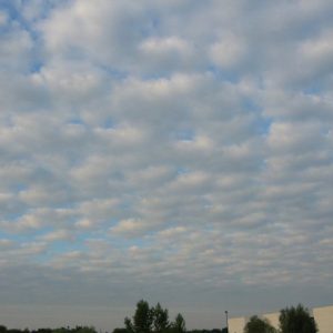 Can You Get at Least 12/15 on This Basic Science Quiz? Stratus clouds