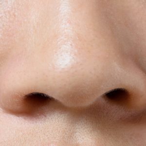 Can You Get at Least 12/15 on This Basic Science Quiz? Nostril