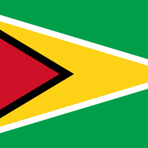 Do You Know a Little About a Lot? Guyana