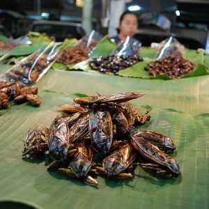 Can We Guess Your Age and Dream Job Based on What Thai Food You Order? Fried insects