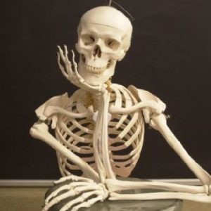 Halloween Idioms Quiz Bone