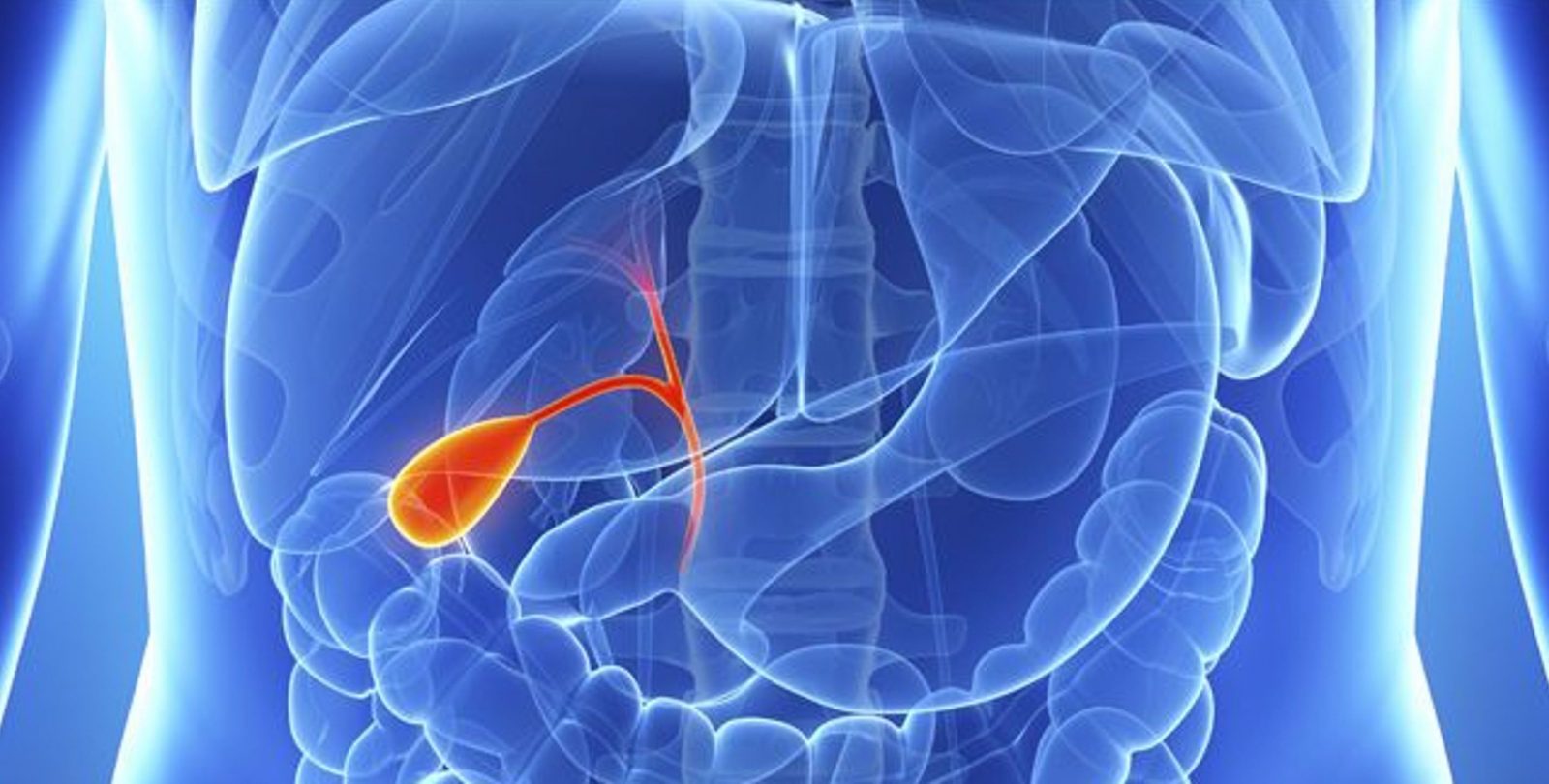 If You Get More Than 12 Things Right on This Quiz, You Should Be a Doctor Gallbladder