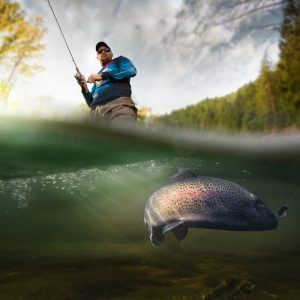 Make Some Grown-Up Life Choices and We’ll Reveal the True Age of Your Soul Fishing