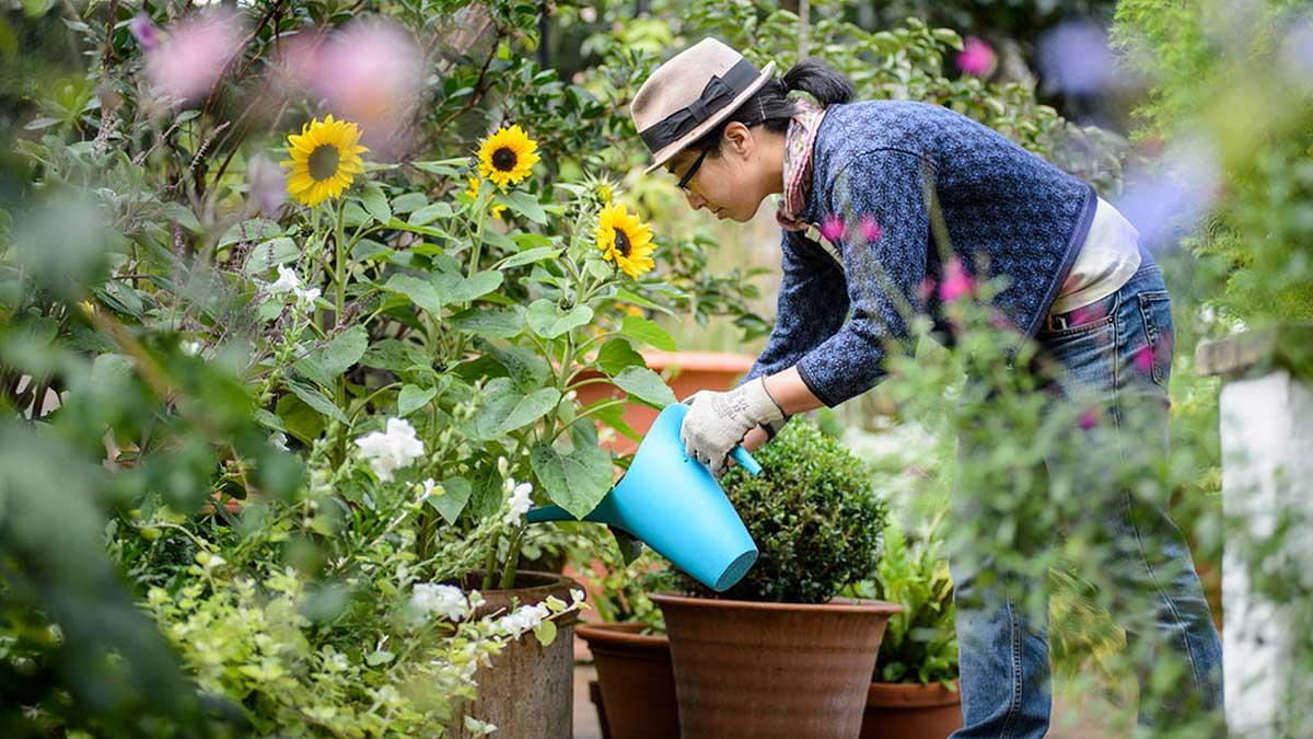 Make Some Grown-Up Life Choices and We’ll Reveal the True Age of Your Soul 2 gardening
