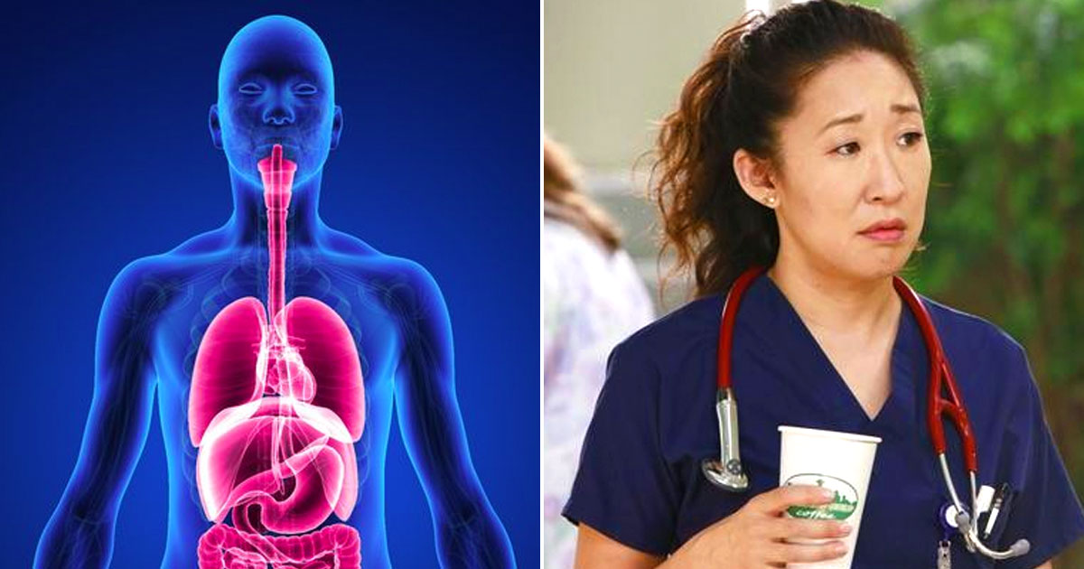 If You Get 12 Things Right on This Quiz, You Should Be Doctor