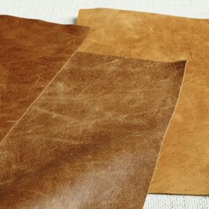Can You Correctly Answer 20 Random Questions? Quiz Leather