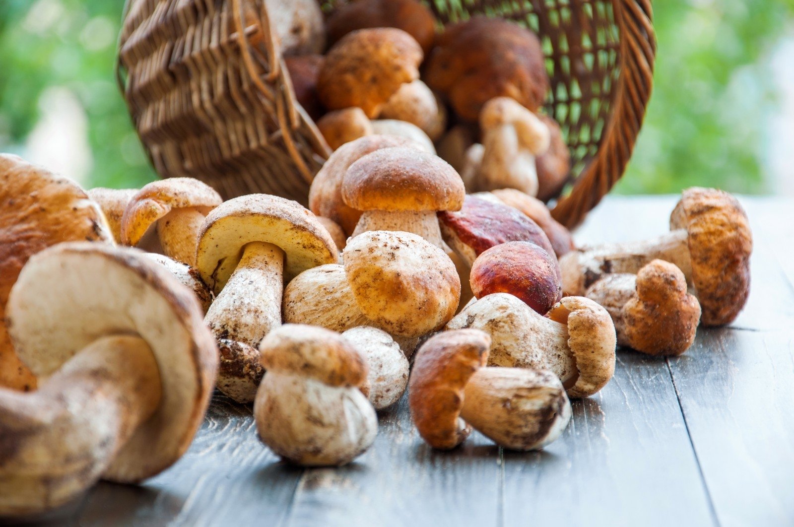 Can We Guess the Food You Love from the Food You Hate? Quiz Mushrooms