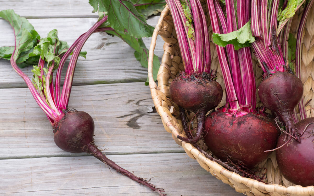 🍆 Do You Actually Know How These Foods Grow? beetroot beets