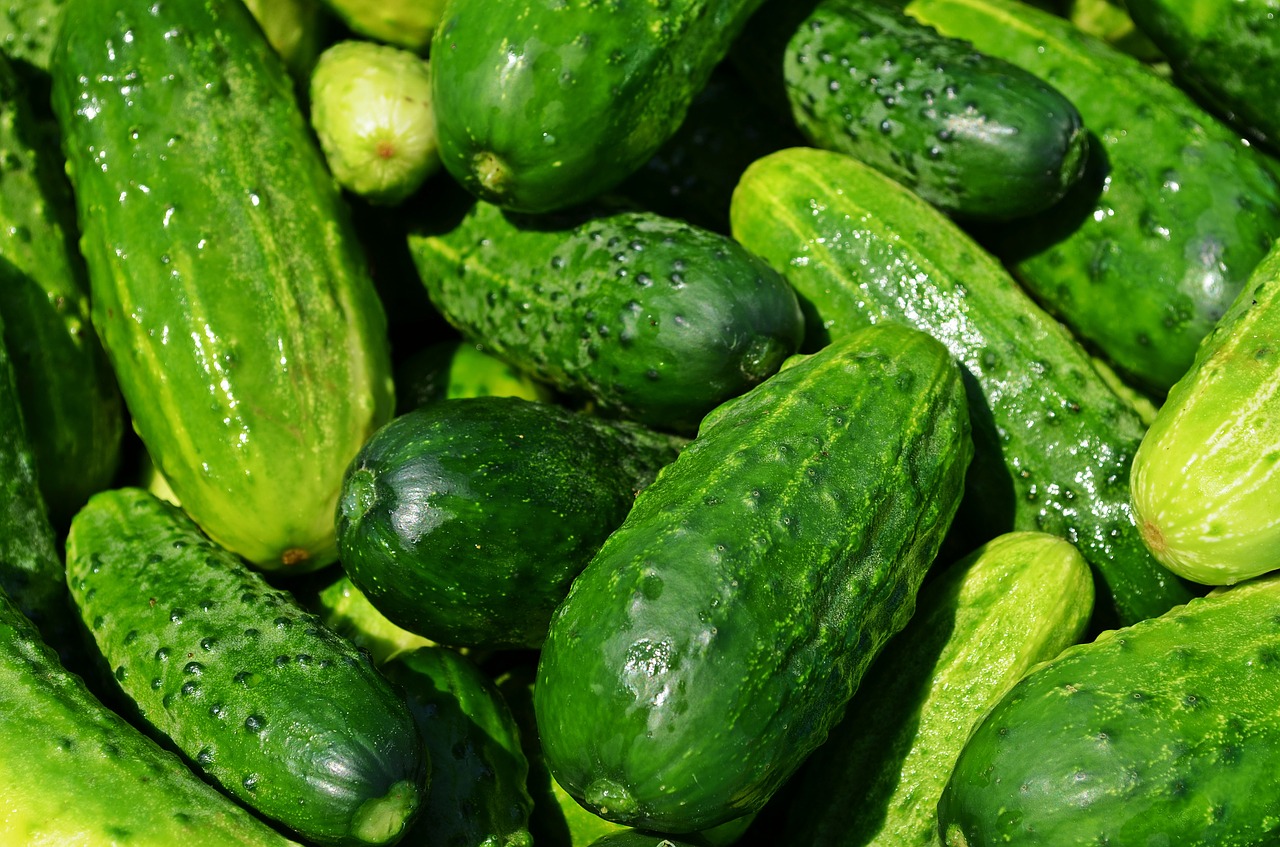 🍆 Do You Actually Know How These Foods Grow? cucumbers