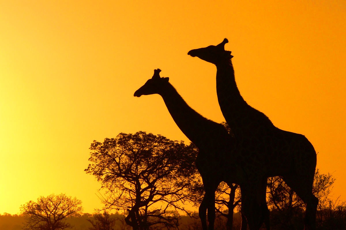 Can You Pass This Impossible Geography Quiz? beautiful_africa_photos26