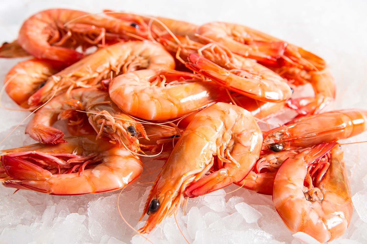 Rename These Common Foods to Find Out How Old You Are Inside 12 Prawns