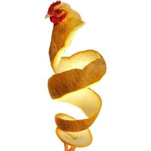 What Fruit Am I? Orange chicken