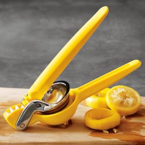 What Fruit Am I? Citrus juicer