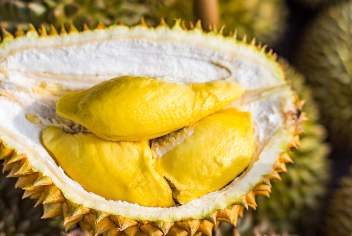 Unconventional Food Personality Quiz durian