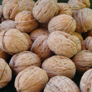 Are You Smarter Than a “Jeopardy!” Contestant? What are walnuts?