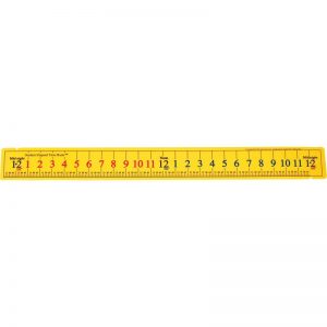 Can You Pass an Elementary School Science Exam? Ruler