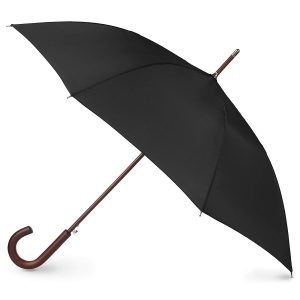 Can You Answer These Questions That Everyone Should Know? Umbrella