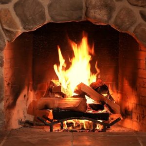 Taco Season Quiz A cozy dinner by the fireplace