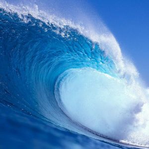 What Sound Are You? Waves