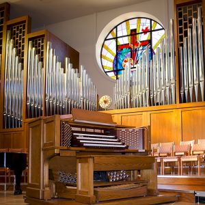 What Sound Are You? Organ