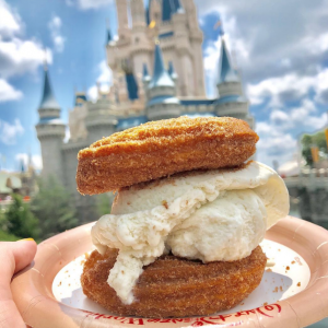 Eat Your Way Through Disney World and We’ll Tell You If You’ll Become a Billionaire Vanilla Ice Cream Churro Sandwich