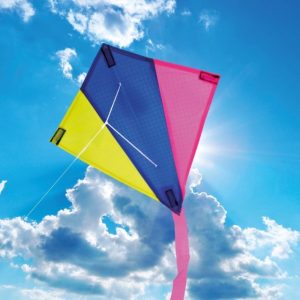 Can You Pass an Elementary School Science Exam? Kite