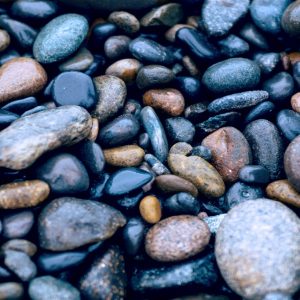 The More Questions You Get Correct Here, The More General Knowledge You Have Rocks