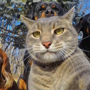I Am Genuinely Curious If You Are Smart Enough to Pass This General Knowledge Quiz Animal species
