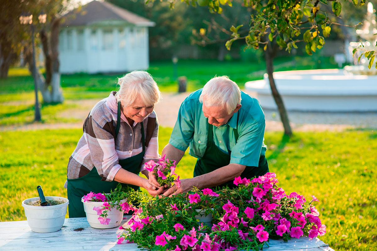 Can You Correctly Identify 100% Of These States by Their Nicknames? People Gardening