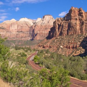 Can You Answer Common Sense Questions That Everyone Sho… Quiz Mt. Carmel