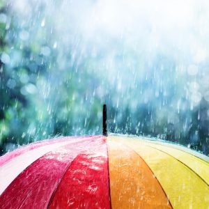 Are You Smarter Than an Elementary School Student? Rain