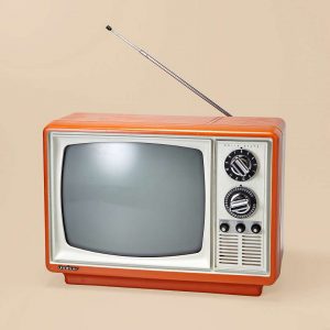 Are You Smarter Than an Elementary School Student? Television