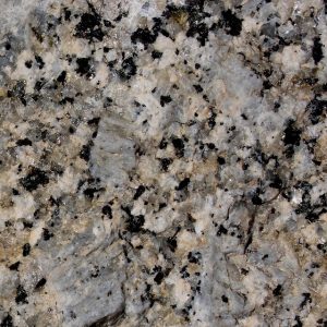 Can You Pass a Middle School Science Exam? Metamorphic