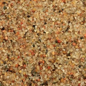 Can You Pass a Middle School Science Exam? Sedimentary