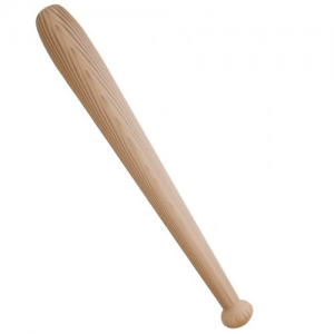 Can You Pass a Middle School Science Exam? Baseball bat