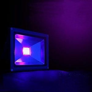 Can You Pass a Middle School Science Exam? Black light