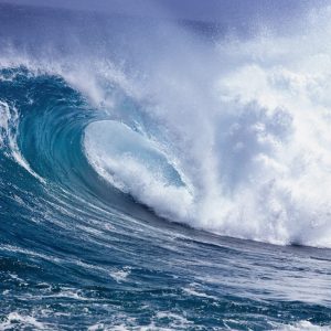 Ology Vocabulary Quiz Tides
