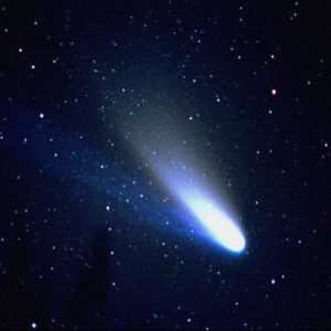 Trick Questions Quiz Halley\'s Comet