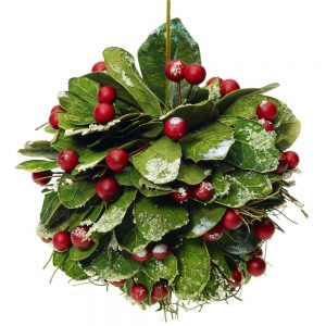 Christmas Trivia Quiz Mistletoe