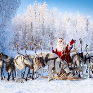 Santa Claus Quiz Reindeer