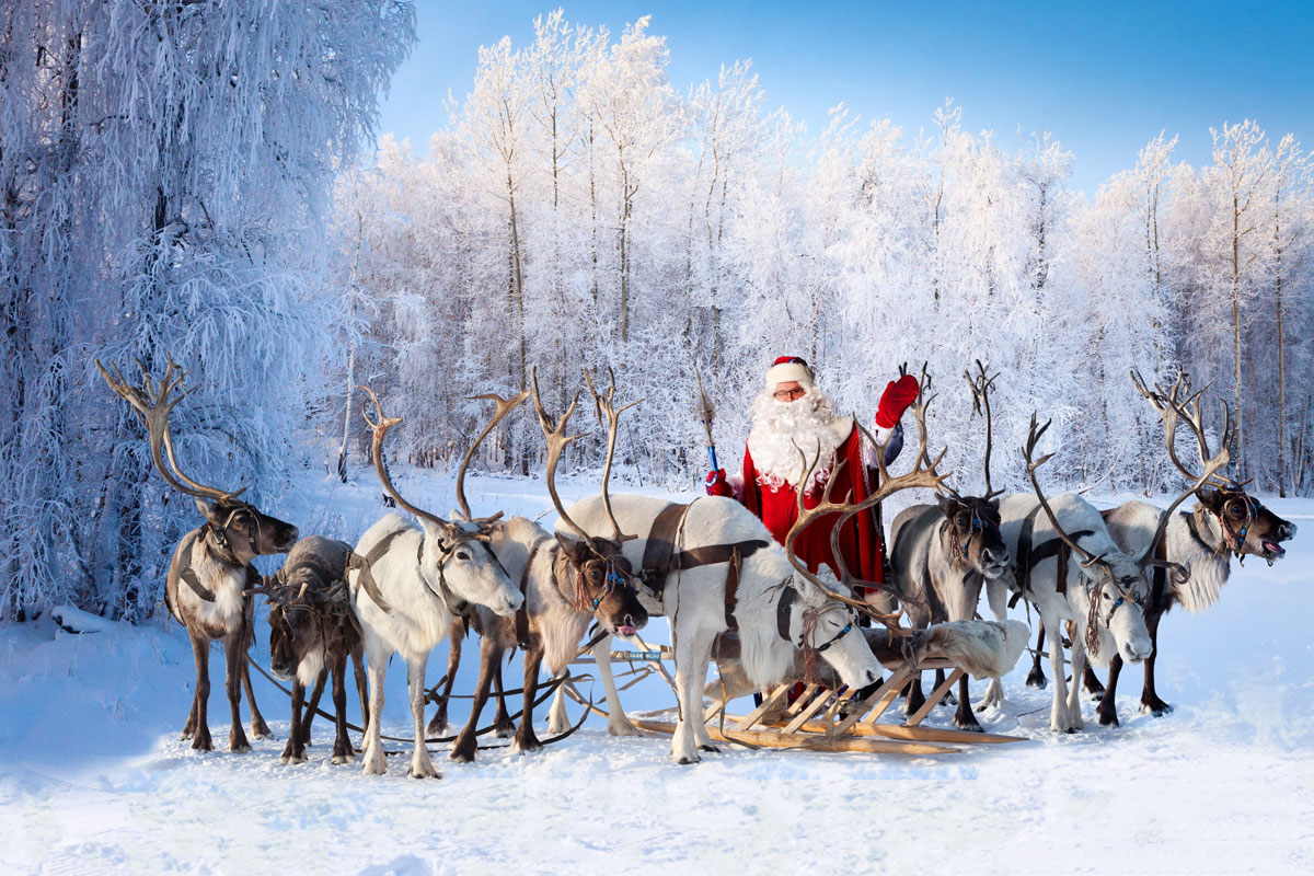 Answer These 22 Questions to Find Out If You Have Enough General Knowledge Santas reindeers