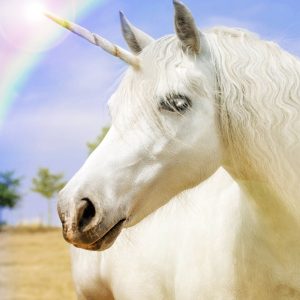 Can We Accurately Guess Your Zodiac Element Just by the Team of Animals You Build? Unicorn